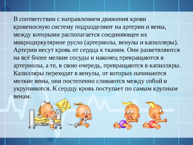 В соответствии с направлением движения крови кровеносную систему подразделяют на артерии и вены, между которыми располагается соединяющее их микроциркулярное русло (артериолы, венулы и капилляры). Артерии несут кровь от сердца к тканям. Они разветвляются на всё более мелкие сосуды и наконец превращаются в артериолы, а те, в свою очередь, превращаются в капилляры. Капилляры переходят в венулы, от которых начинаются мелкие вены, они постепенно сливаются между собой и укрупняются. К сердцу кровь поступает по самым крупным венам. 