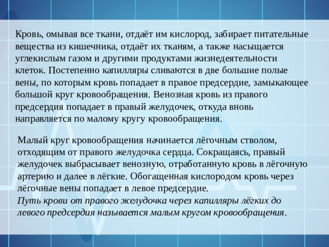 Кровь, омывая все ткани, отдаёт им кислород, забирает питательные вещества из кишечника, отдаёт их тканям, а также насыщается углекислым газом и другими продуктами жизнедеятельности клеток. Постепенно капилляры сливаются в две большие полые вены, по которым кровь попадает в правое предсердие, замыкающее большой круг кровообращения. Венозная кровь из правого предсердия попадает в правый желудочек, откуда вновь направляется по малому кругу кровообращения. Малый круг кровообращения начинается лёгочным стволом, отходящим от правого желудочка сердца. Сокращаясь, правый желудочек выбрасывает венозную, отработанную кровь в лёгочную артерию и далее в лёгкие. Обогащенная кислородом кровь через лёгочные вены попадает в левое предсердие. Путь крови от правого желудочка через капилляры лёгких до левого предсердия называется малым кругом кровообращения. 