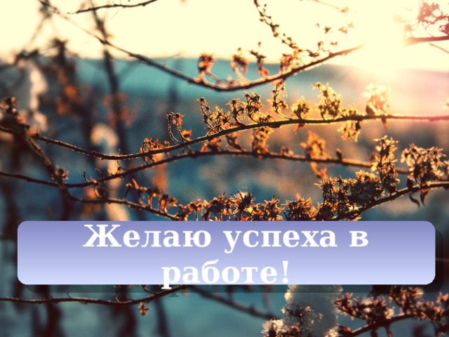 Желаю успеха в работе! 