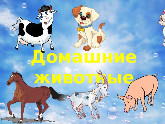 Домашние животные 