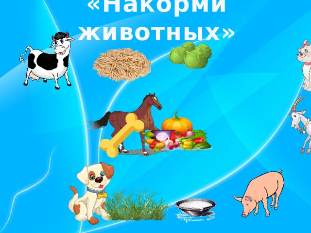 «Накорми животных»   