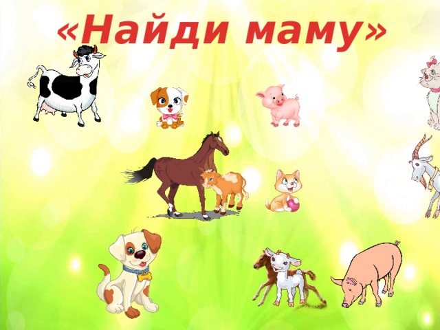 «Найди маму» 