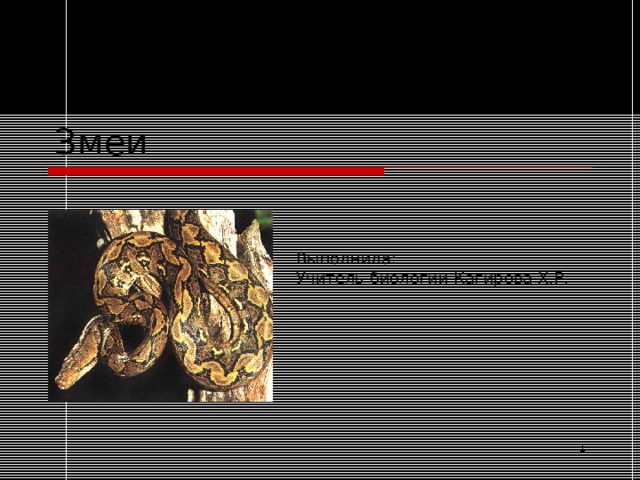 Змеи Выполнила: Учитель биологии Кагирова Х.Р.  
