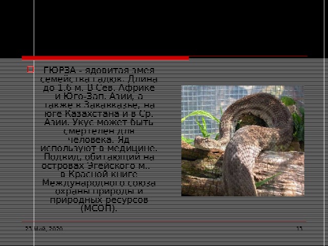Гюрза ГЮРЗА - ядовитая змея семейства гадюк. Длина до 1,6 м. В Сев. Африке и Юго-Зап. Азии, а также в Закавказье, на юге Казахстана и в Ср. Азии. Укус может быть смертелен для человека. Яд используют в медицине. Подвид, обитающий на островах Эгейского м., - в Красной книге Международного союза охраны природы и природных ресурсов (МСОП). 23 Май, 2020  