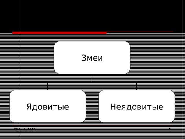 Змеи Змеи Ядовитые Неядовитые 23 Май, 2020  