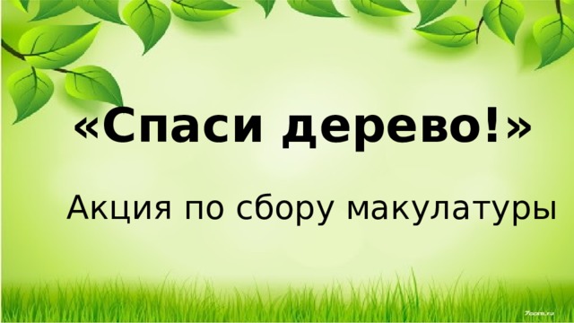 «Спаси дерево!» Акция по сбору макулатуры 