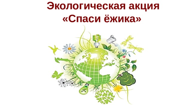 Экологическая акция «Спаси ёжика»   