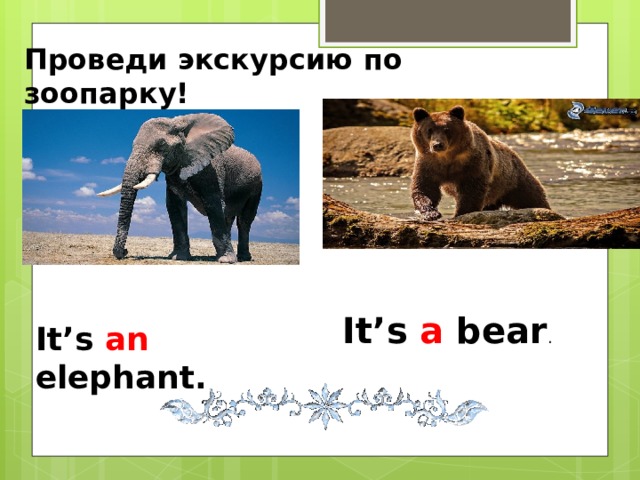 Проведи экскурсию по зоопарку! It’s a bear . It’s an elephant. 