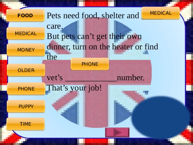   Pets need food, shelter and  _____  care. But pets can’t get their own dinner, turn on the heater or find the vet’s __ __________ number. That’s your job! MEDICAL FOOD MEDICAL MONEY PHONE OLDER PHONE PUPPY TIME 3 