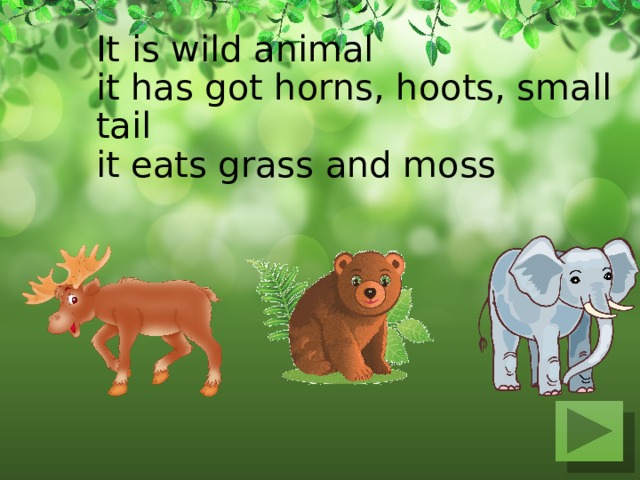 It is wild animal  it has got horns, hoots, small tail  it eats grass and moss   