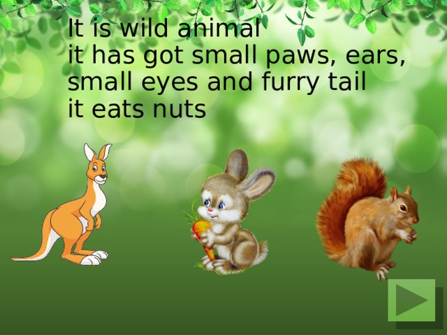 It is wild animal  it has got small paws, ears, small eyes and furry tail  it eats nuts   