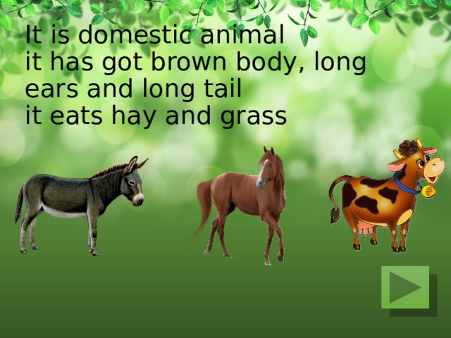 It is domestic animal  it has got brown body, long ears and long tail  it eats hay and grass   
