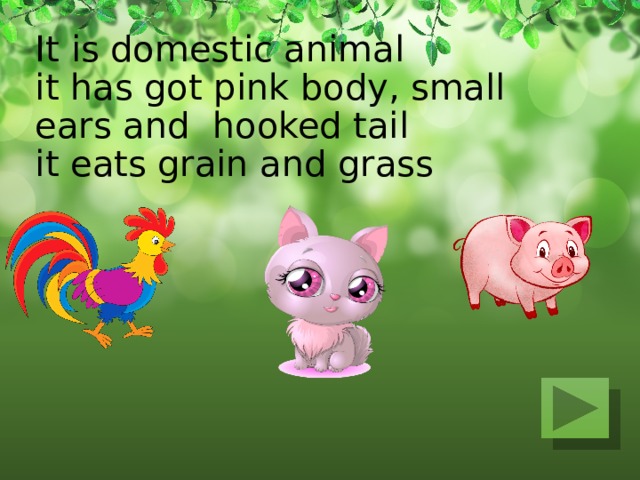 It is domestic animal  it has got pink body, small ears and hooked tail  it eats grain and grass   
