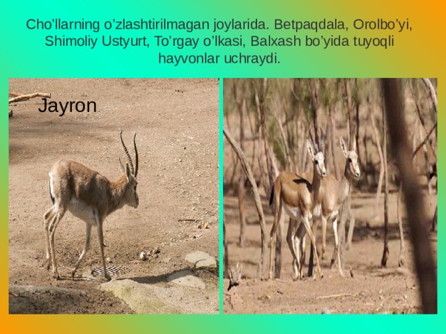 Cho’llarning o’zlashtirilmagan joylarida. Betpaqdala, Orolbo’yi, Shimoliy Ustyurt, To’rgay o’lkasi, Balxash bo’yida tuyoqli hayvonlar uchraydi. Ja Jayron 