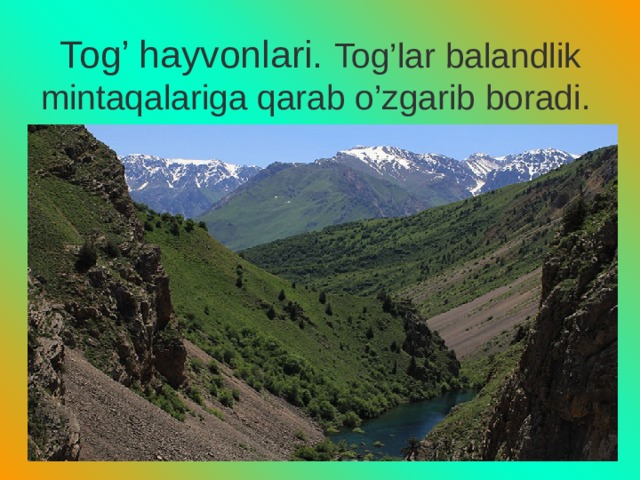 Tog’ hayvonlari. Tog’lar balandlik mintaqalariga qarab o’zgarib boradi. 