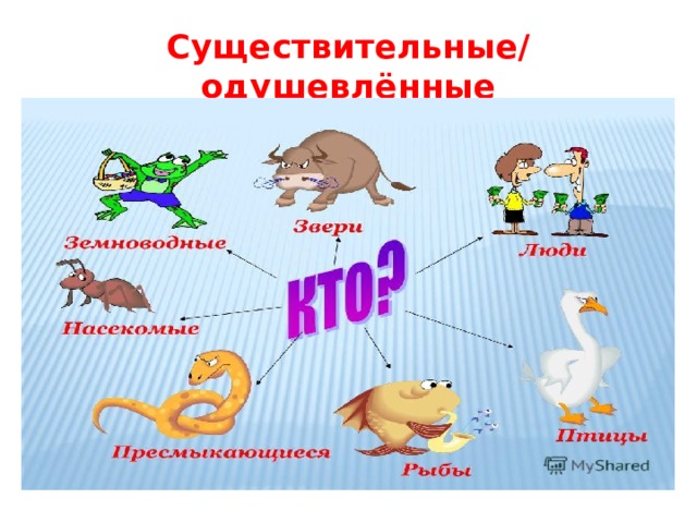 Существительные/ одушевлённые 