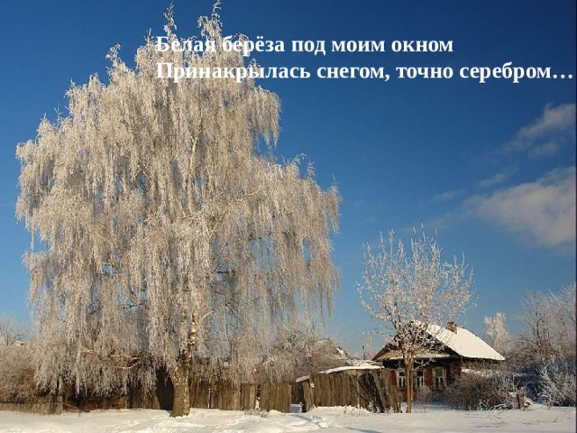  Белая берёза под моим окном  Принакрылась снегом, точно серебром… 