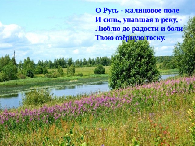 О Русь - малиновое поле  И синь, упавшая в реку, -  Люблю до радости и боли  Твою озёрную тоску. 