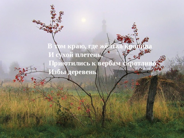  В том краю, где жёлтая крапива  И сухой плетень,  Приютились к вербам сиротливо  Избы деревень  
