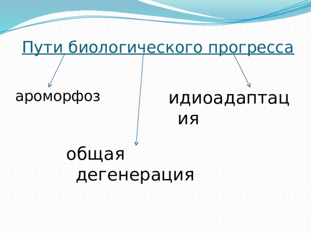 Пути биологического прогресса идиоадаптация ароморфоз общая дегенерация 