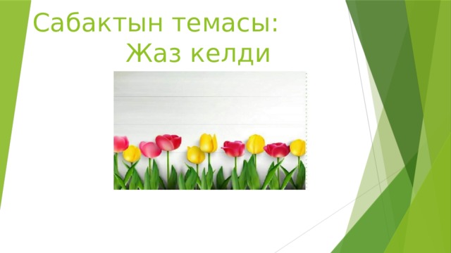 Сабактын темасы:  Жаз келди 