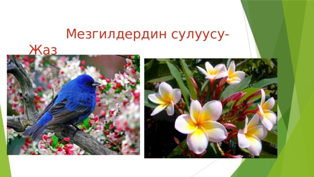  Мезгилдердин сулуусу-Жаз 