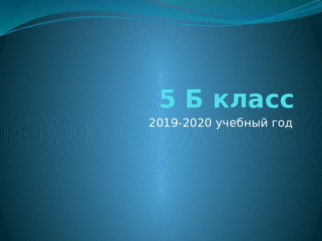 5 Б класс 2019-2020 учебный год 