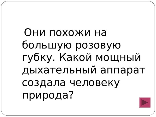  Они похожи на большую розовую губку. Какой мощный дыхательный аппарат создала человеку природа? 