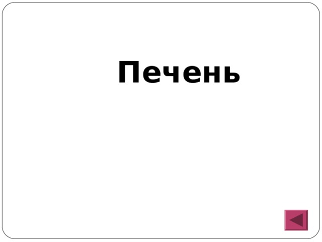  Печень 