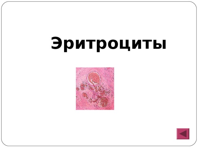  Эритроциты 