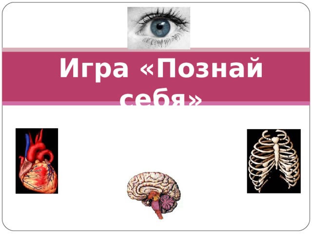 Игра «Познай себя» 