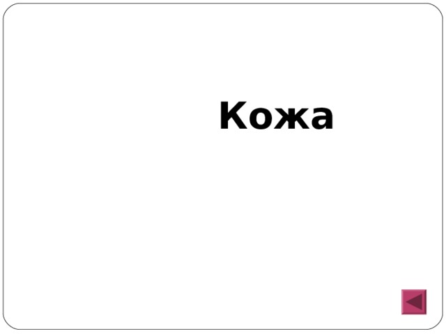  Кожа 