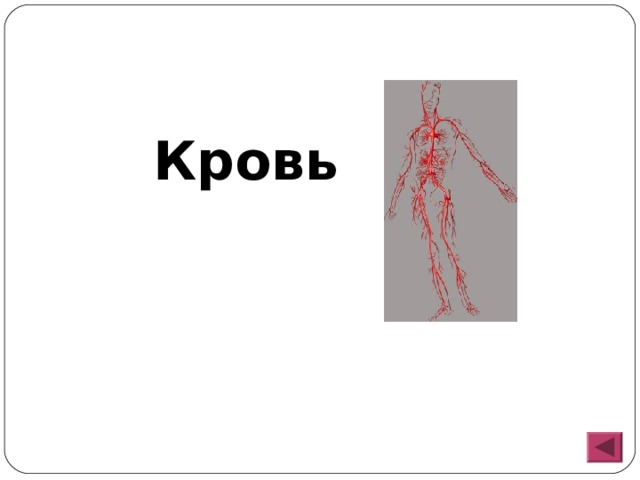  Кровь 