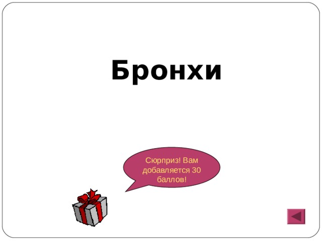  Бронхи Сюрприз! Вам добавляется 30 баллов! 