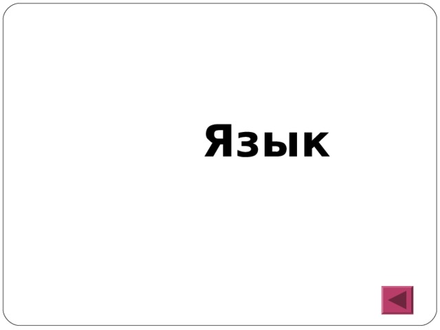  Язык 