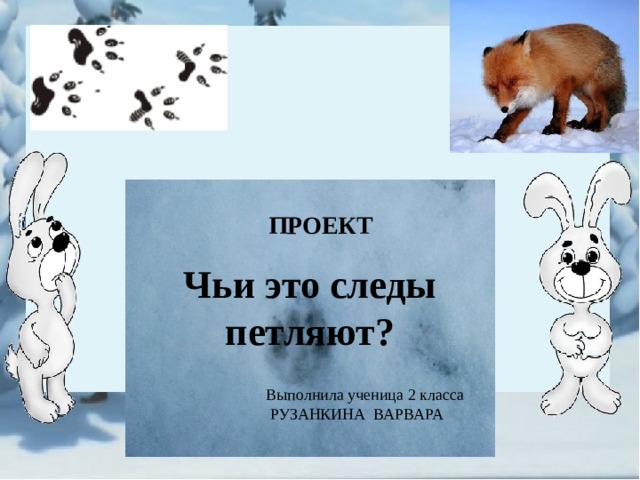  ПРОЕКТ Чьи это следы петляют? Выполнила ученица 2 класса  РУЗАНКИНА ВАРВАРА 
