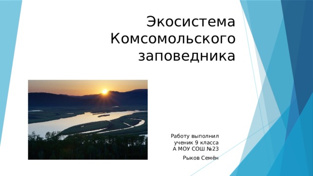 Экосистема Комсомольского заповедника Работу выполнил ученик 9 класса А МОУ СОШ №23 Рыков Семён 