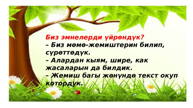 Биз эмнелерди үйрөндүк? – Биз мөмө-жемиштерин билип, сүрөттөдүк. – Алардан кыям, шире, как жасаларын да билдик. – Жемиш багы жөнүндө текст окуп котордук. 