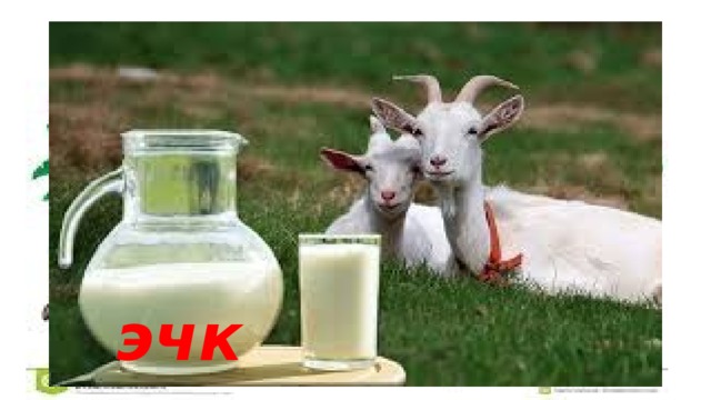эчки 