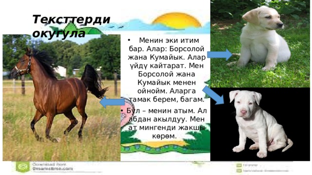 Тексттерди окугула  Менин эки итим бар. Алар: Борсолой жана Кумайык. Алар үйдү кайтарат. Мен Борсолой жана Кумайык менен ойнойм. Аларга тамак берем, багам. Бул – менин атым. Ал абдан акылдуу. Мен ат мингенди жакшы көрөм. 