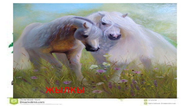 жылкы 