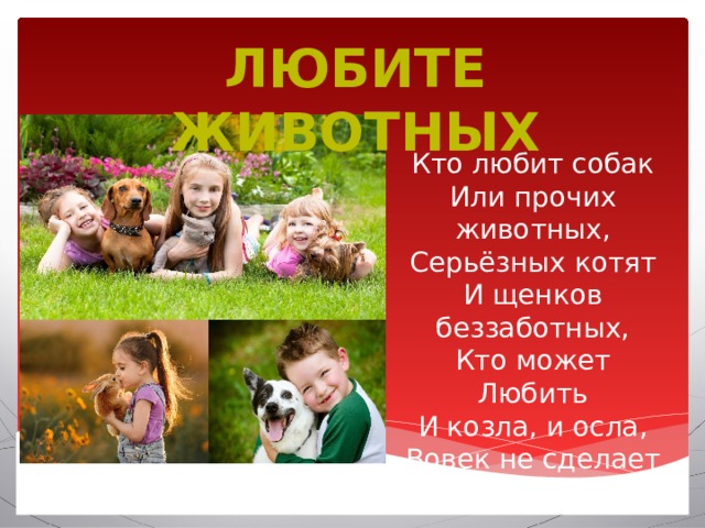 Любите животных . Кто любит собак  Или прочих животных,  Серьёзных котят  И щенков беззаботных,  Кто может  Любить  И козла, и осла, Вовек не сделает зла. Вставка рисунка 