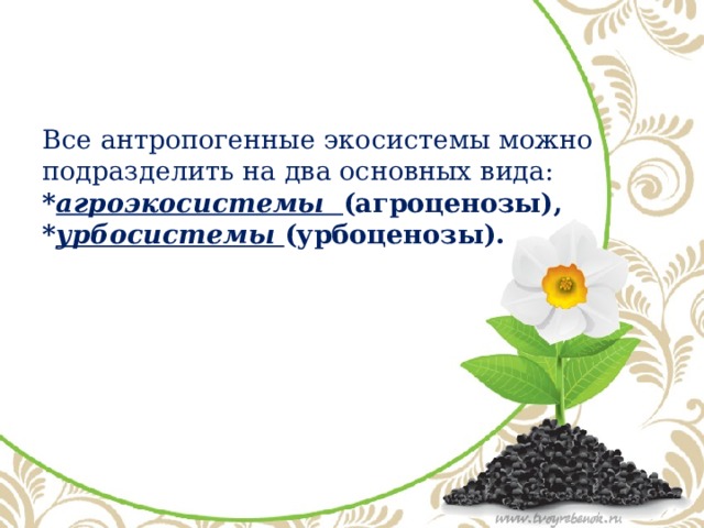 Все антропогенные экосистемы можно подразделить на два основных вида: * агроэкосистемы (агроценозы),  * урбосистемы (урбоценозы).   