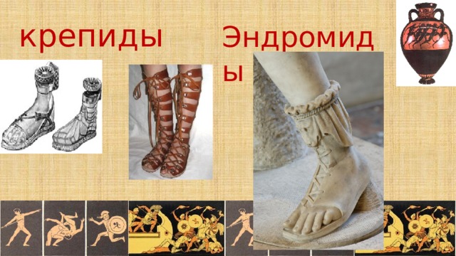 крепиды Эндромиды 