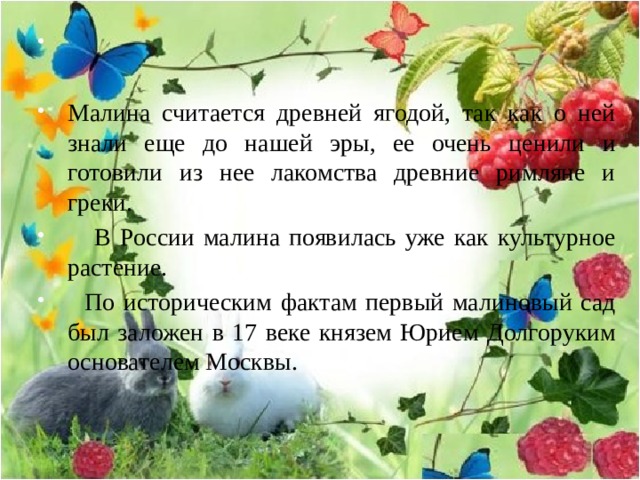 Малина считается древней ягодой, так как о ней знали еще до нашей эры, ее очень ценили и готовили из нее лакомства древние римляне и греки.  В России малина появилась уже как культурное растение.  По историческим фактам первый малиновый сад был заложен в 17 веке князем Юрием Долгоруким основателем Москвы. 