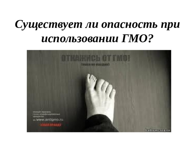 Существует ли опасность при использовании ГМО? 