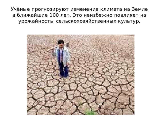 Учёные прогнозируют изменение климата на Земле в ближайшие 100 лет. Это неизбежно повлияет на урожайность сельскохозяйственных культур. 
