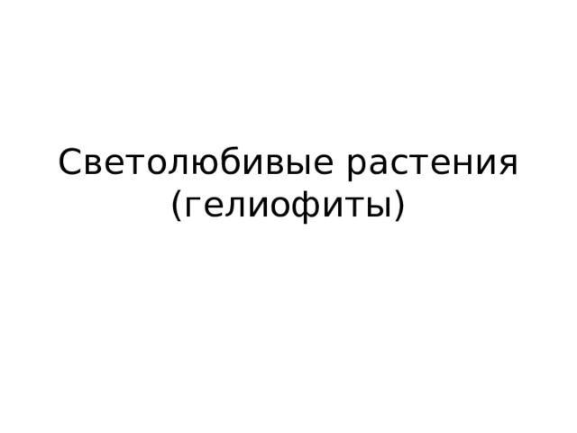 Светолюбивые растения  (гелиофиты) 