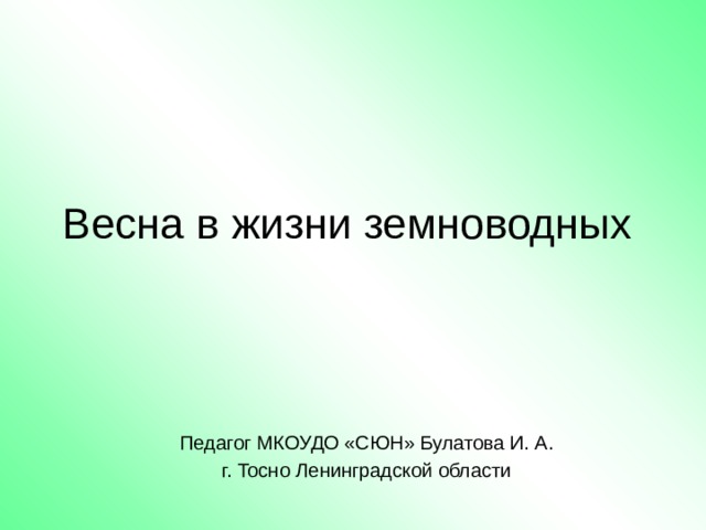 Весна в жизни земноводных Педагог МКОУДО «СЮН» Булатова И. А. г. Тосно Ленинградской области 