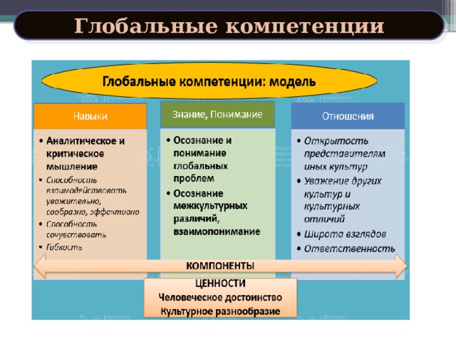 Глобальные компетенции 